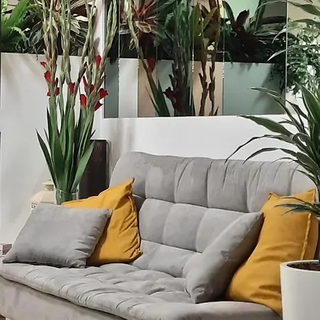 Barbiani 2* Riccione