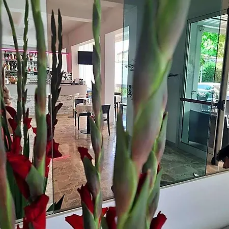 Barbiani Hotel 2*
