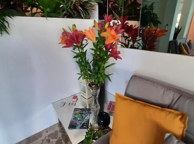 Barbiani ريتشيوني