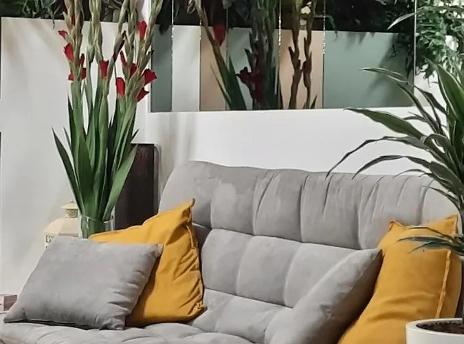 Barbiani 2* ريتشيوني